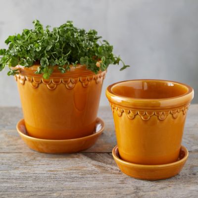  13.  Pots for plants  I don't know when I turned into a plant person, sort of like how I have no idea when I turned into a cat person. But now I'm a cat-plant person. 
